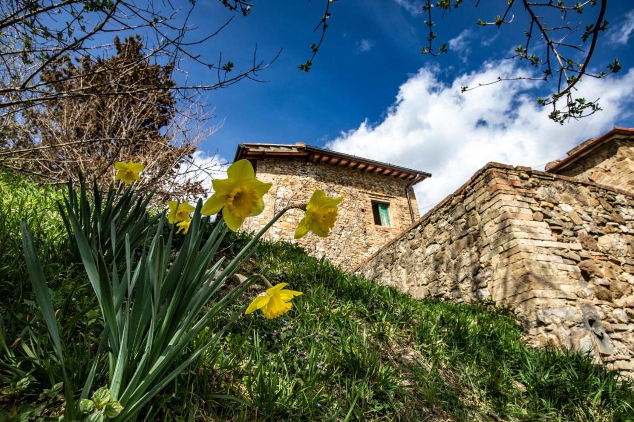 Campora House 호텔 Tavarnelle Val di Pesa 외부 사진