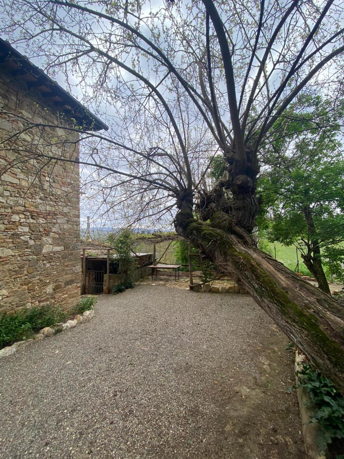 Campora House 호텔 Tavarnelle Val di Pesa 외부 사진
